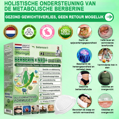 [Officiële Flagship Store]🌲| Solaroza® Moringa · Berberine × NAD+ 10-in-1 Geavanceerde Nano Micronaald Patch 🇳🇱 | Ondersteund door wetenschap | 10-in-1 formule | Resultaten binnen 7 dagen🕧