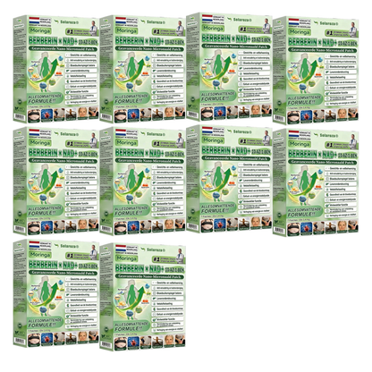 [Officiële Flagship Store]🌲| Solaroza® Moringa · Berberine × NAD+ 10-in-1 Geavanceerde Nano Micronaald Patch 🇳🇱 | Ondersteund door wetenschap | 10-in-1 formule | Resultaten binnen 7 dagen🕧