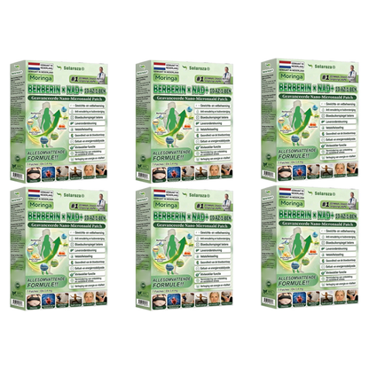 [Officiële Flagship Store]🌲| Solaroza® Moringa · Berberine × NAD+ 10-in-1 Geavanceerde Nano Micronaald Patch 🇳🇱 | Ondersteund door wetenschap | 10-in-1 formule | Resultaten binnen 7 dagen🕧